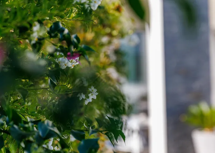 Vakantiehuis Ventum *